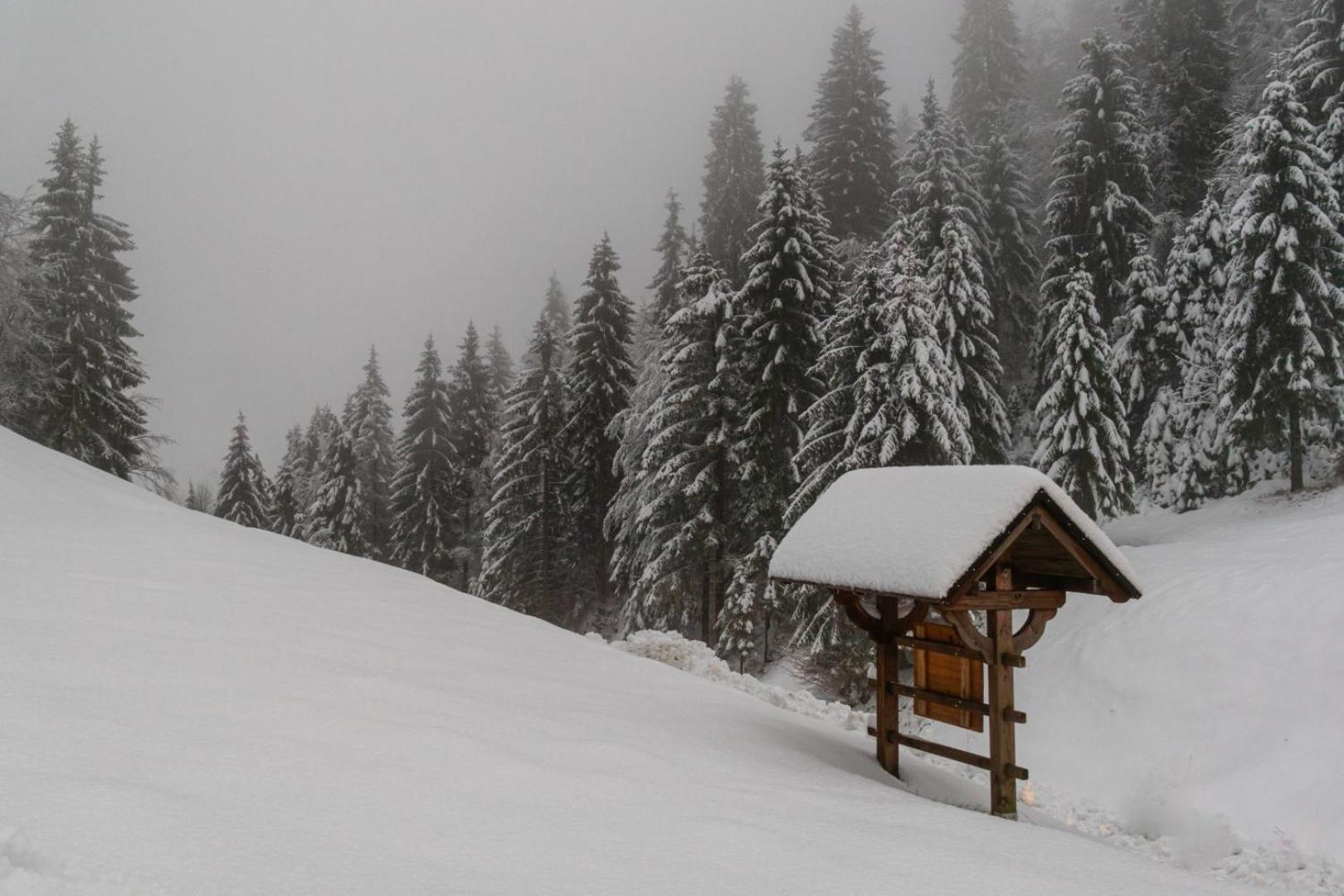 Holiday Home Gorski Lazi Trsce Esterno foto